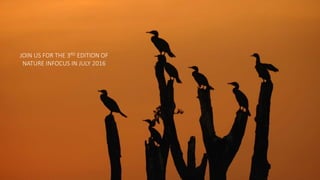 JOIN US FOR THE 3RD EDITION OF
NATURE INFOCUS IN JULY 2016
 