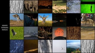 AWARD
WINNING
IMAGES
 