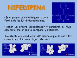 NIFEDIPINA ,[object Object],familia de las 1,4-dihidropiridinas. ,[object Object]
