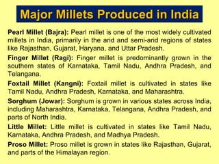 Major Millets Produced in India
Pearl Millet (Bajra): Pearl millet is one of the most widely cultivated
millets in India, primarily in the arid and semi-arid regions of states
like Rajasthan, Gujarat, Haryana, and Uttar Pradesh.
Finger Millet (Ragi): Finger millet is predominantly grown in the
southern states of Karnataka, Tamil Nadu, Andhra Pradesh, and
Telangana.
Foxtail Millet (Kangni): Foxtail millet is cultivated in states like
Tamil Nadu, Andhra Pradesh, Karnataka, and Maharashtra.
Sorghum (Jowar): Sorghum is grown in various states across India,
including Maharashtra, Karnataka, Telangana, Andhra Pradesh, and
parts of North India.
Little Millet: Little millet is cultivated in states like Tamil Nadu,
Karnataka, Andhra Pradesh, and Madhya Pradesh.
Proso Millet: Proso millet is grown in states like Rajasthan, Gujarat,
and parts of the Himalayan region.
 