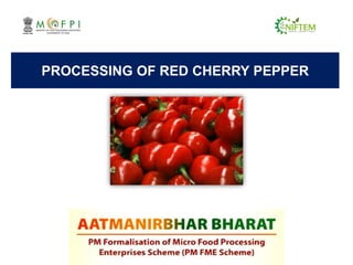 PROCESSING OF RED CHERRY PEPPER
 