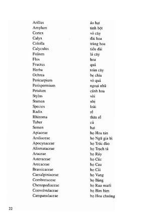 Viet va doc ten thuoc