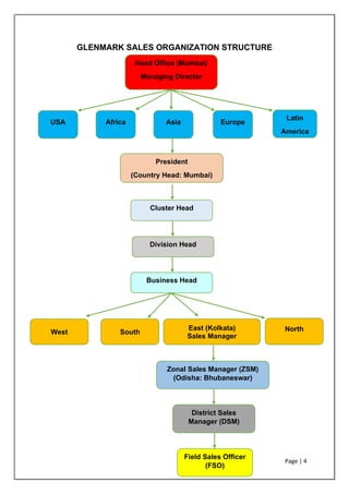 Page | 4
GLENMARK SALES ORGANIZATION STRUCTURE
Head Office (Mumbai)
Managing Director
NorthSouth
President
(Country Head: Mumbai)
National Sales manager
(NSM)
USA
Zonal Sales Manager (ZSM)
(Odisha: Bhubaneswar)
East (Kolkata)
Sales Manager
Cluster Head
Field Sales Officer
(FSO)
District Sales
Manager (DSM)
Latin
America
EuropeAsiaAfrica
West
Division Head
Business Head
 
