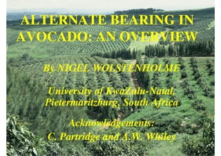 ALTERNATE BEARING IN
AVOCADO: AN OVERVIEW

  By NIGEL WOLSTENHOLME

   University of KwaZulu-Natal,
                 KwaZulu-
   Pietermaritzburg, South Africa
       Acknowledgements:
   C. Partridge and A.W. Whiley
 
