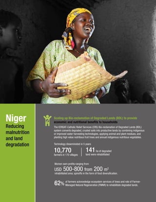 Niger reducing malnutrition and land degradation - ICRISAT West and Central Africa (WCA) Annual Report - 2017