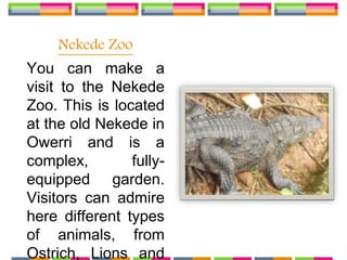 Nekede Zoo
You can make a
visit to the Nekede
Zoo. This is located
at the old Nekede in
Owerri and is a
complex, fully-
equipped garden.
Visitors can admire
here different types
of animals, from
Ostrich, Lions and
 