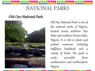 NATIONAL PARKS
Old Oyo National Park
Old Oyo National Park is one of
the national parks of Nigeria,
located across northern Oyo
State and southern Kwara State,
Nigeria. It is rich in plant and
animal resources including
buffaloes, bushbuck and a
variety of birds. The park is
easily accessible from
southwestern and northwestern
Nigeria.
 