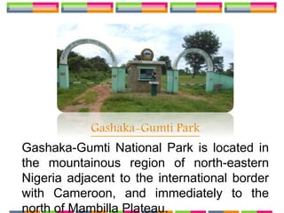 Gashaka-Gumti Park
Gashaka-Gumti National Park is located in
the mountainous region of north-eastern
Nigeria adjacent to the international border
with Cameroon, and immediately to the
north of Mambilla Plateau.
 