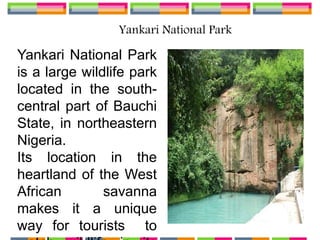 Yankari National Park
Yankari National Park
is a large wildlife park
located in the south-
central part of Bauchi
State, in northeastern
Nigeria.
Its location in the
heartland of the West
African savanna
makes it a unique
way for tourists to
 