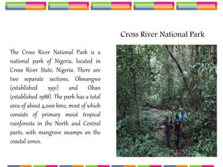 Cross River National Park
The Cross River National Park is a
national park of Nigeria, located in
Cross River State, Nigeria. There are
two separate sections, Okwangwo
(established 1991) and Oban
(established 1988). The park has a total
area of about 4,000 km2, most of which
consists of primary moist tropical
rainforests in the North and Central
parts, with mangrove swamps on the
coastal zones.
 