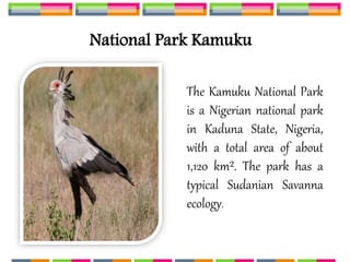 National Park Kamuku
The Kamuku National Park
is a Nigerian national park
in Kaduna State, Nigeria,
with a total area of about
1,120 km². The park has a
typical Sudanian Savanna
ecology.
 