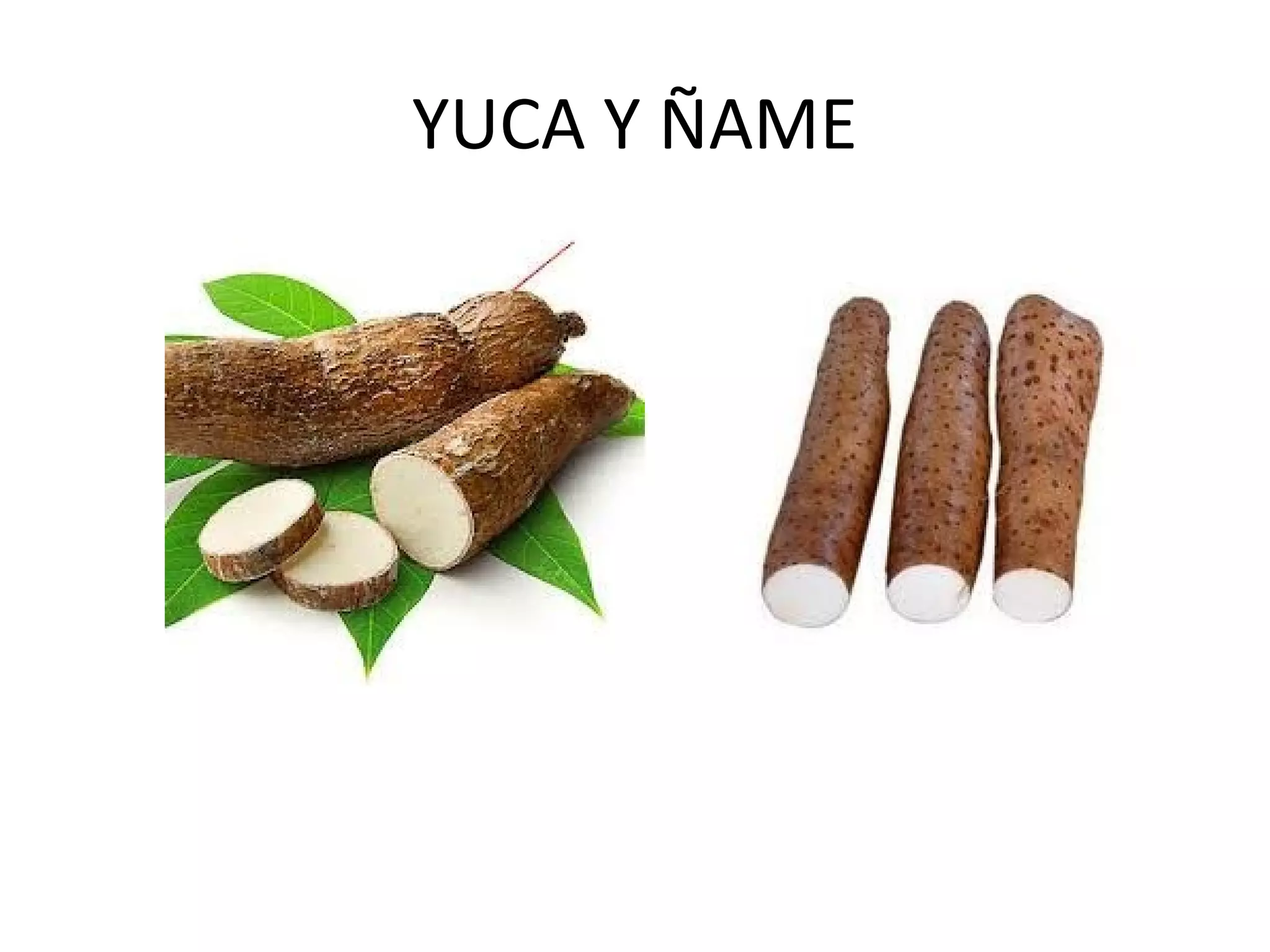 YUCA Y ÑAME