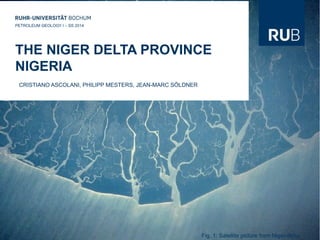 THE NIGER DELTA PROVINCE
NIGERIA
CRISTIANO ASCOLANI, PHILIPP MESTERS, JEAN-MARC SÖLDNER
PETROLEUM GEOLOGY I – SS 2014
Fig. 1: Satellite picture from Niger delta
 