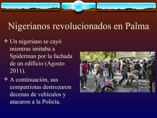 Nigerianos revolucionados en Palma ,[object Object],[object Object]