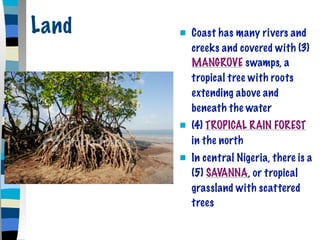 Land      Coast has many rivers and
           creeks and covered with (3)
           MANGROVE swamps, a
           tropical tree with roots
           extending above and
           beneath the water
          (4) TROPICAL RAIN FOREST
           in the north
          In central Nigeria, there is a
           (5) SAVANNA, or tropical
           grassland with scattered
           trees
 