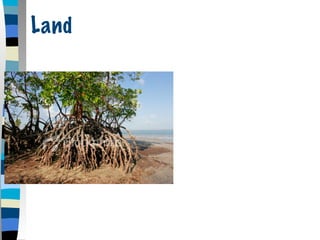 Land
 