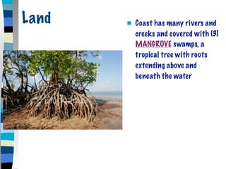 Land      Coast has many rivers and
           creeks and covered with (3)
           MANGROVE swamps, a
           tropical tree with roots
           extending above and
           beneath the water
 