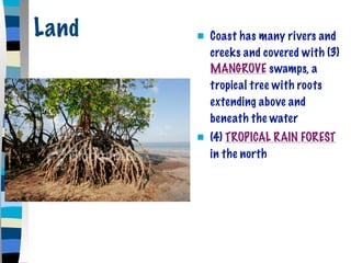 Land      Coast has many rivers and
           creeks and covered with (3)
           MANGROVE swamps, a
           tropical tree with roots
           extending above and
           beneath the water
          (4) TROPICAL RAIN FOREST
           in the north
 