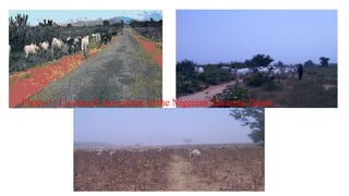Plates 1: Livestock movement in the Nigerian Savanna Zones
 