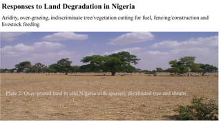 Responses to Land Degradation in Nigeria
Aridity, over-grazing, indiscriminate tree/vegetation cutting for fuel, fencing/construction and
livestock feeding
Plate 2: Over-grazed land in arid Nigeria with sparsely distributed tree and shrubs
 