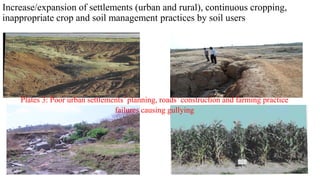 Increase/expansion of settlements (urban and rural), continuous cropping,
inappropriate crop and soil management practices by soil users
Plates 3: Poor urban settlements’ planning, roads’ construction and farming practice
failures causing gullying
 