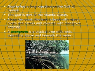 Nigeria has a long coastline on the Gulf of Guinea. This gulf is part of the Atlantic Ocean. Along the coast, the land is laced with many rivers and creeks and covered with mangrove swamps. A  mangrove  is a tropical tree with roots extending above and beneath the water. 