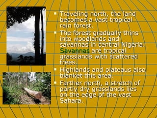 Traveling north, the land becomes a vast tropical rain forest. The forest gradually thins into woodlands and savannas in central Nigeria.  Savannas  are tropical grasslands with scattered trees.  Highlands and plateaus also blanket this area.  Farther north, a stretch of partly dry grasslands lies on the edge of the vast Sahara. 