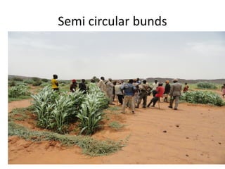 Semi circular bunds
 