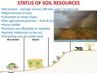 STATUS OF SOIL RESOURCES
•Soil erosion – average soil loss 190 tons .year-1 on bare soil
•Illegal removal of trees
•Cultivation on steep slopes
•Poor agricultural practices – slash & burn
•Heavy rainfall
•Fertilizers not affordable or available.
•Nutrient imbalances in the soil
•Competing uses for arable land
 