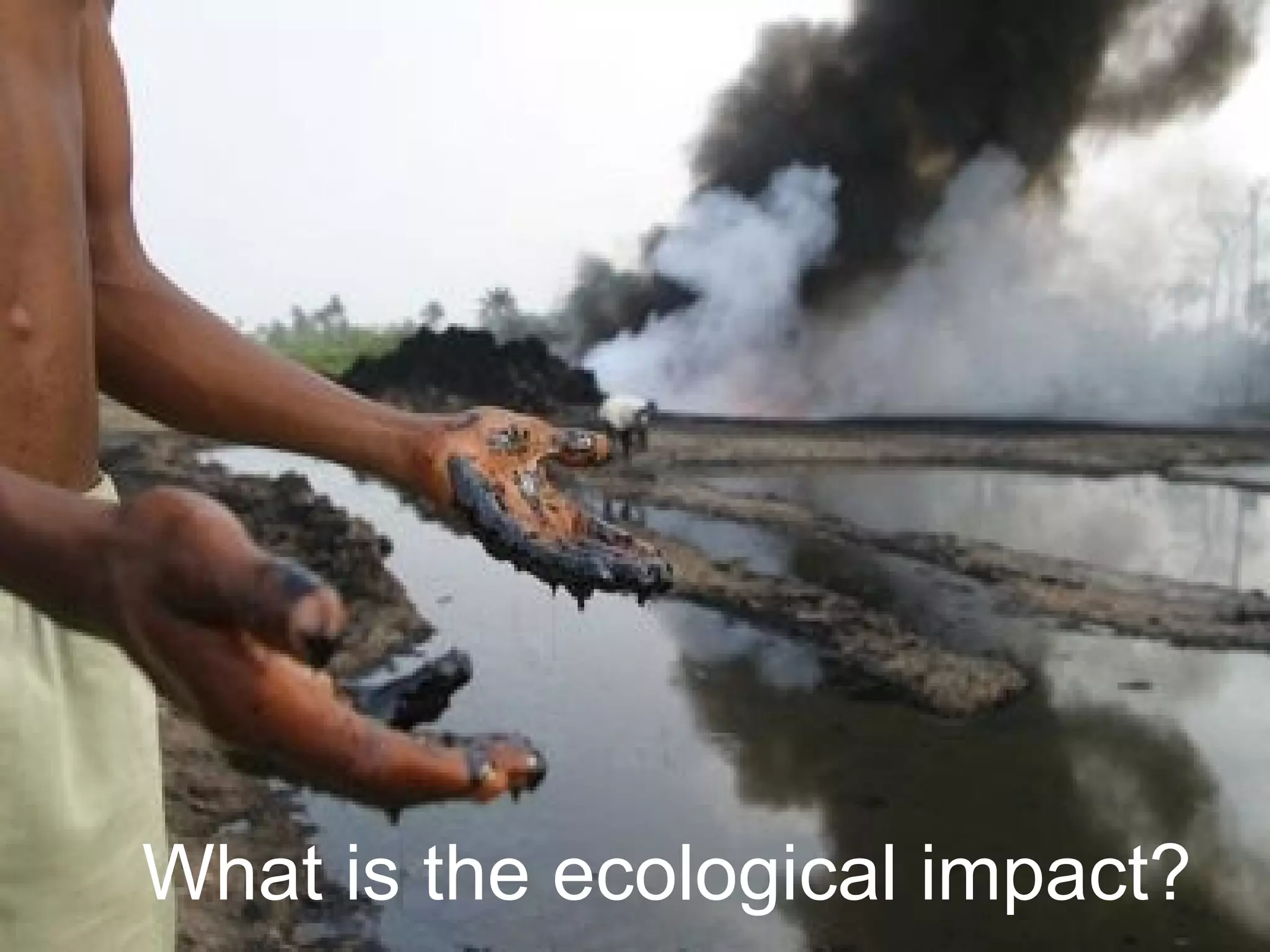 What is the ecological impact?