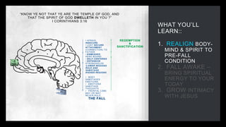 WHAT YOU’LL
LEARN::
1. REALIGN BODY-
MIND & SPIRIT TO
PRE-FALL
CONDITION
2. FALL AWAKE –
BRING SPIRITUAL
ENERGY TO YOUR
TODAY
3. GROW INTIMACY
WITH JESUS
“KNOW YE NOT THAT YE ARE THE TEMPLE OF GOD, AND
THAT THE SPIRIT OF GOD DWELLETH IN YOU ?”
I CORINTHIANS 3:16
• AFRAID,
INSECURE
• LOST SECURE
ATTACHMENT
(CONNECTION) TO
FATHER
• ENMESHED,
HERD BOUND
• SELF-CENTERED
• DEFENSIVE
STRONGHOLDS
•LOWER REGIONS
RULE AND
SABOTAGE
HIGHER REGIONS
• BODY
SABOTAGES
EMOTIONS,
• EMOTIONS
SABOTAGE
THOUGHTS
• FRONTAL LOBE
MAY OR MAY
NEVER RULE.
THE FALL
REDEMPTION
&
SANCTIFICATION
 