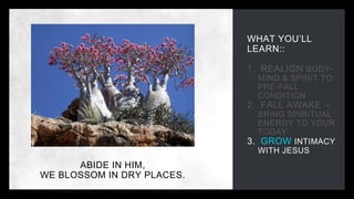 WHAT YOU’LL
LEARN::
1. REALIGN BODY-
MIND & SPIRIT TO
PRE-FALL
CONDITION
2. FALL AWAKE –
BRING SPIRITUAL
ENERGY TO YOUR
TODAY
3. GROW INTIMACY
WITH JESUS
ABIDE IN HIM,
WE BLOSSOM IN DRY PLACES.
 