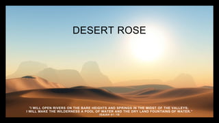 DESERT ROSE
"I WILL OPEN RIVERS ON THE BARE HEIGHTS AND SPRINGS IN THE MIDST OF THE VALLEYS;
I WILL MAKE THE WILDERNESS A POOL OF WATER AND THE DRY LAND FOUNTAINS OF WATER.”
ISAIAH 41::18
 