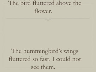 The bird fluttered above the
flower.

The hummingbird’s wings
fluttered so fast, I could not
see them.

 