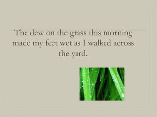 The dew on the grass this morning
made my feet wet as I walked across
the yard.

 