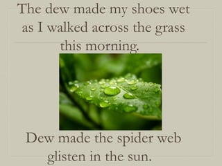 The dew made my shoes wet
as I walked across the grass
this morning.

Dew made the spider web
glisten in the sun.

 