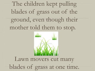The children kept pulling
blades of grass out of the
ground, even though their
mother told them to stop.

Lawn movers cut many
blades of grass at one time.

 