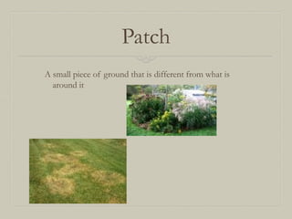 Patch
A small piece of ground that is different from what is
around it

 