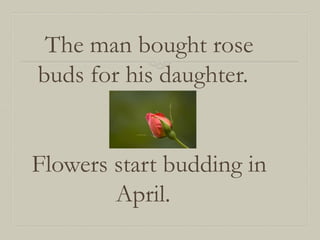 The man bought rose
buds for his daughter.
Flowers start budding in
April.

 