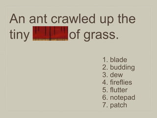 An ant crawled up the
tiny blade of grass.
1. blade
2. budding
3. dew
4. fireflies
5. flutter
6. notepad
7. patch

 