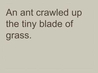 An ant crawled up
the tiny blade of
grass.

 