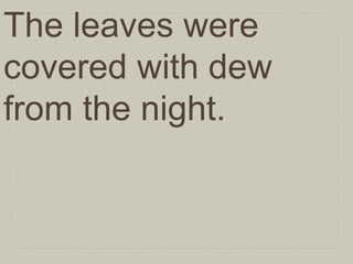 The leaves were
covered with dew
from the night.

 
