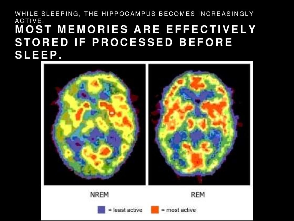 Dissertation panic image