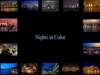 Nights in Color 
