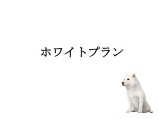 　　　
　　　ホワイトプラン
 