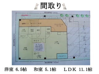 　　　　　間取り




洋室 6.5帖　 和室 5.1帖　 ＬＤＫ 11.1帖
 