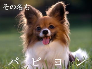 その名も
　　




パ　ピ　ヨ　ン
 
