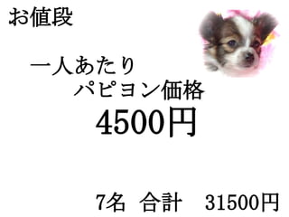 お値段

　一人あたり
　　　パピヨン価格
　　　　   4500円
　　　　　　
　　　　7名 合計　31500円
 