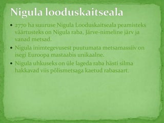  2770 ha suuruse Nigula Looduskaitseala peamisteks
väärtusteks on Nigula raba, Järve-nimeline järv ja
vanad metsad.
 Nigula inimtegevusest puutumata metsamassiiv on
isegi Euroopa mastaabis unikaalne.
 Nigula uhkuseks on üle lageda raba hästi silma
hakkavad viis põlismetsaga kaetud rabasaart.
 