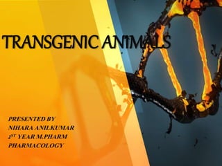 TRANSGENIC ANIMALS
PRESENTED BY
NIHARA ANILKUMAR
1ST YEAR M.PHARM
PHARMACOLOGY
 